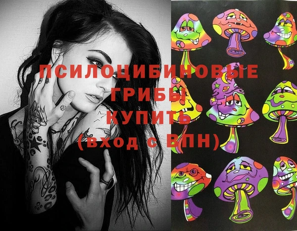 PSILOCYBIN Армянск
