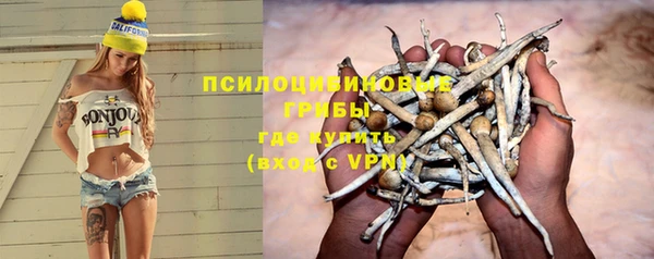 PSILOCYBIN Армянск